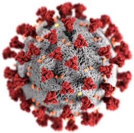 Coronoavirus